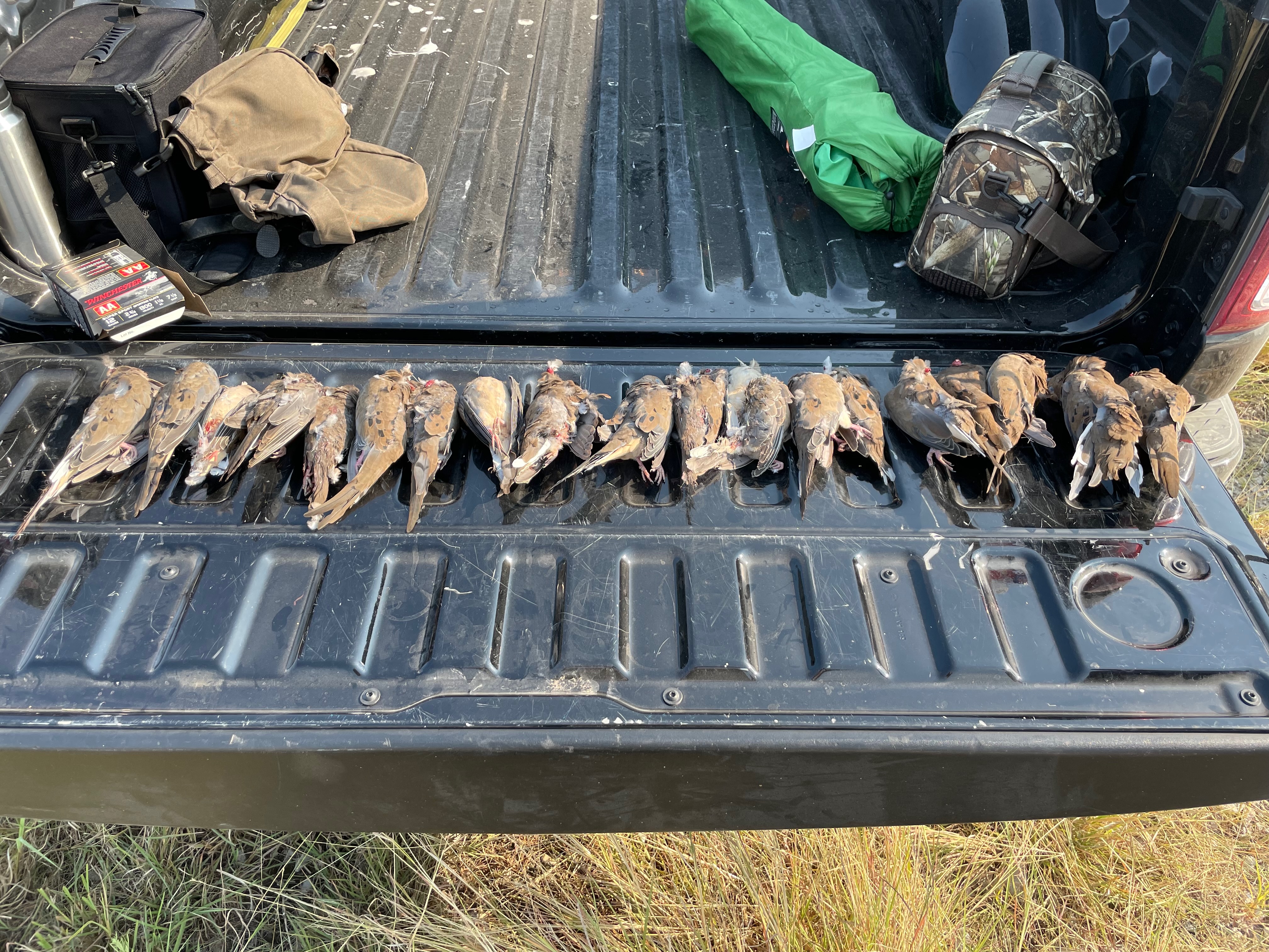 Jimmy Texas Quote Image